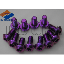 фиолетовый gr5 титанового диска ротора болт М5*10